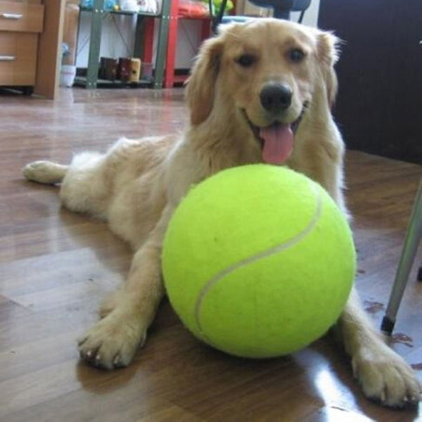 Giant Tennis Ball For Pets