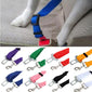Pet Car Seat Belt