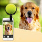 Pooch Selfie Helper